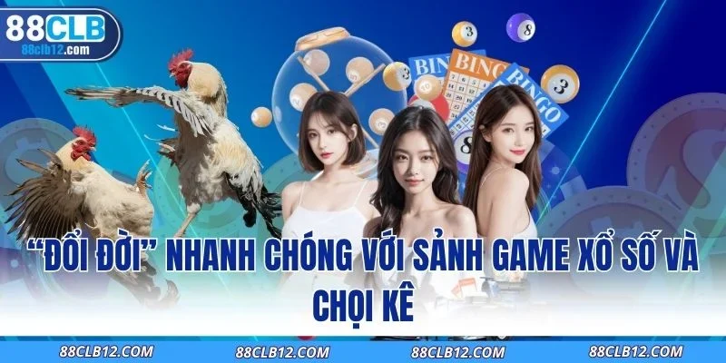 “Đổi đời” nhanh chóng với sảnh game xổ số và chọi kê