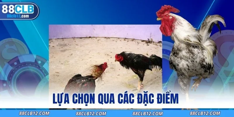Lựa chọn qua các đặc điểm 