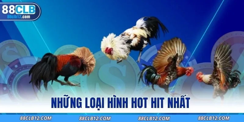 Những loại hình hot hit nhất 