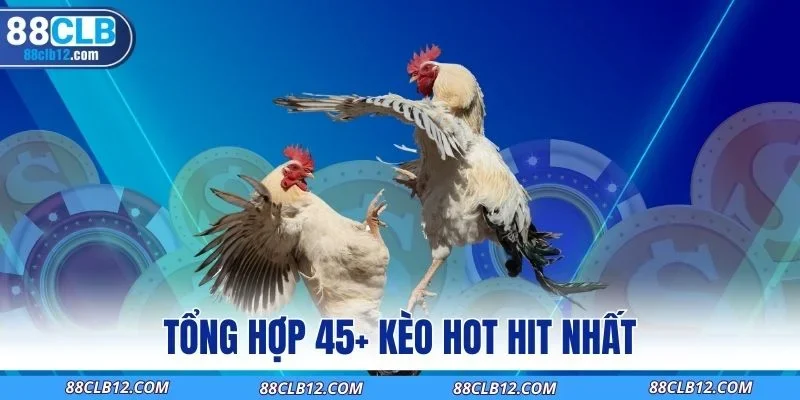 Tổng hợp 45+ kèo hot hit nhất
