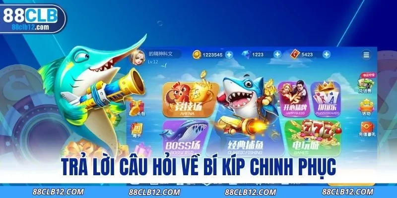 Trả lời câu hỏi về bí kíp chinh phục